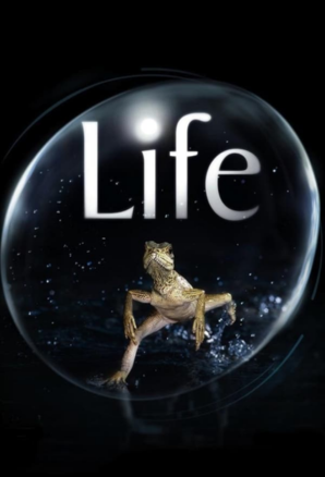 Life
